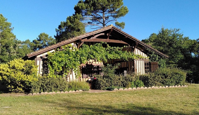 Authentic vast 1850 Landes farmhouse in the heart of the forest with no neighbors 30 p