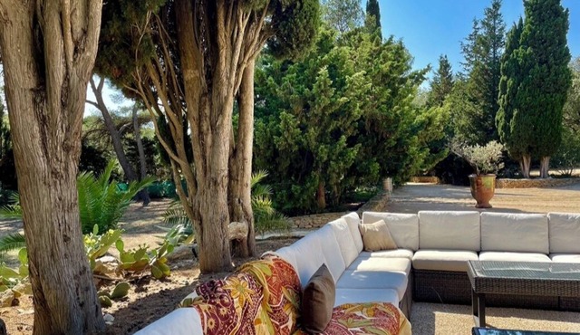 Authentic winegrower's farmhouse and park facing the sea