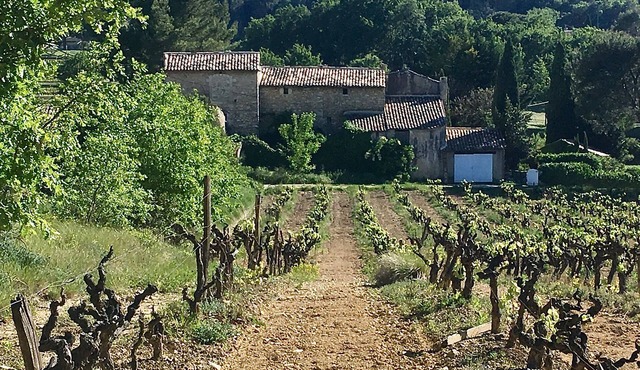 Authentieke mas Gelegen Temidden van de Gouden Driehoek, Omgeven van Natuur