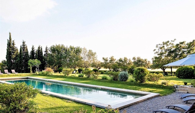 Autumn in Provence, Near Avignon, Luberon, View Mont-Ventoux
