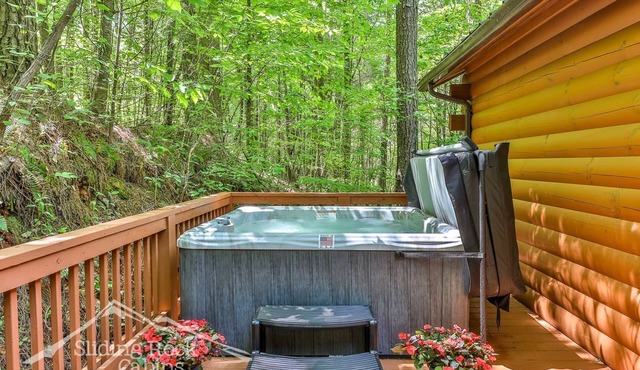 Autumn's Hollow : one story, easy access, 2/2, HOT TUB, pet friendly, lake,