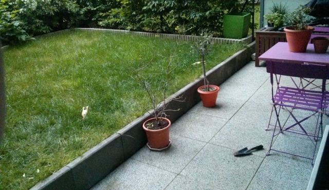 Aux Abords de La Vallée au Loups, de L'arboretum et Maison de Chateaubriand