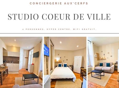 Aux'Cerfs - Studio coeur de ville