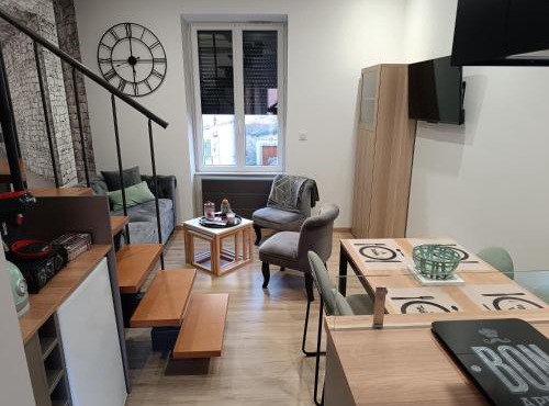 Aux nids douillets Mayetois "les hirondelles"