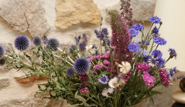 Aux Pierres Magiques