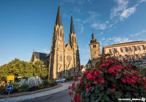 Aux retour des cigognes d alsace