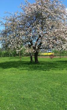 Aux trois petites notes