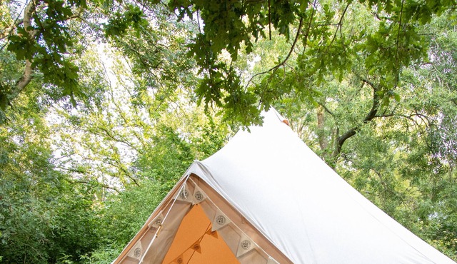 Avalon Boutique Camping