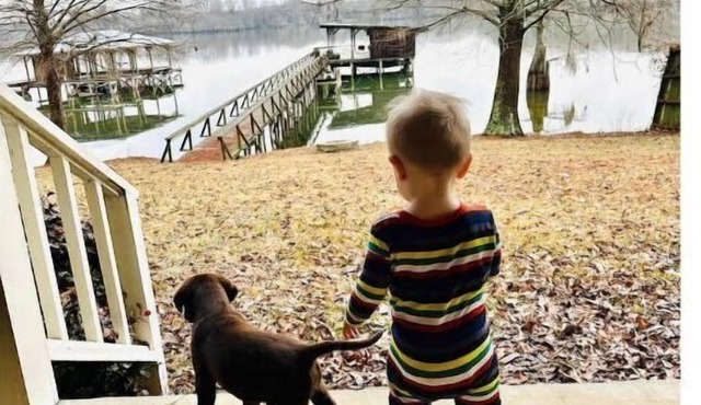 Ava’s Place on the Lake