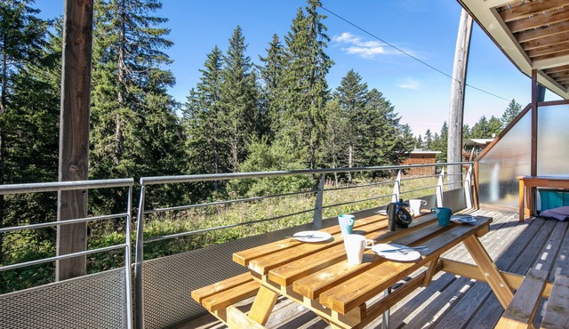 Aventures à Chamrousse - Appt 34 m² avec terrasse