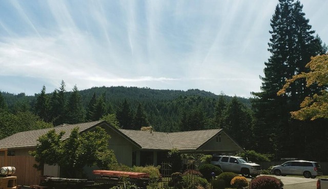 Avenue of the Giants Burl bungalow