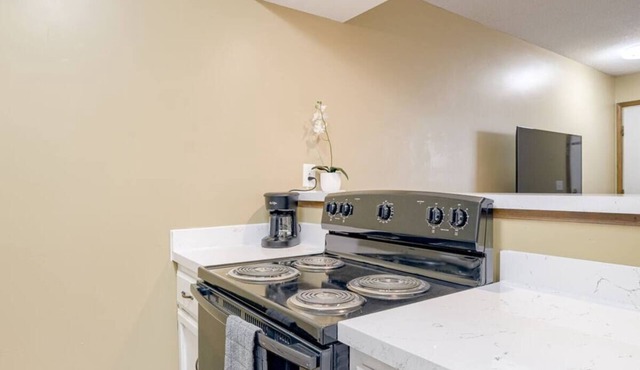 Aviator's Lounge 1BR Free Parking WiFi Easy Access