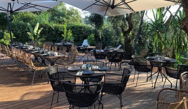 AVOCADO Hôtel Restaurant Bar