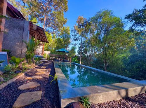 AVYANA sanctuary