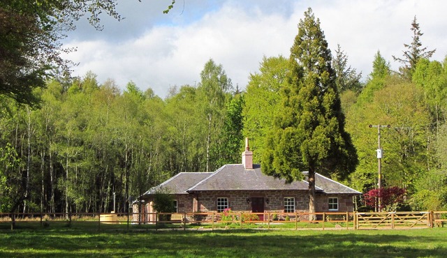 Award-Winning 5 Star Luxury Retreat - Hot Tub, Sauna, Tennis, Fishing, Sky, Golf