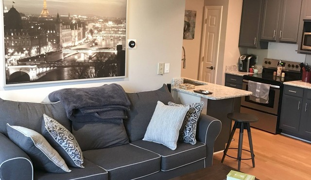 Awesome 1BR downtown condo near EVERYTHING!