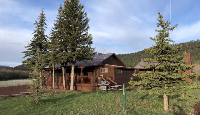 Awesome 4BR-2BA on Main Street! Huge porch, Stocked Trout Pond, Good Dogs Free 🐾