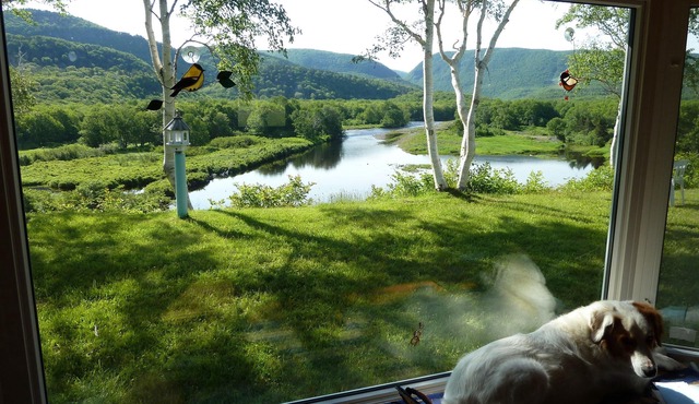 Awesome and Affordable River Cottage