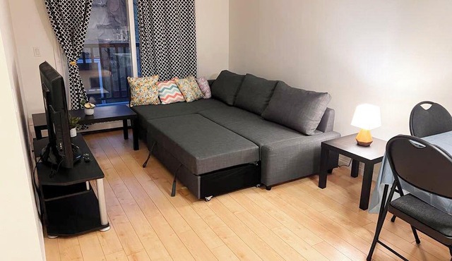 Awesome apartment 1B+1 Living, you won't pay anything except the rent