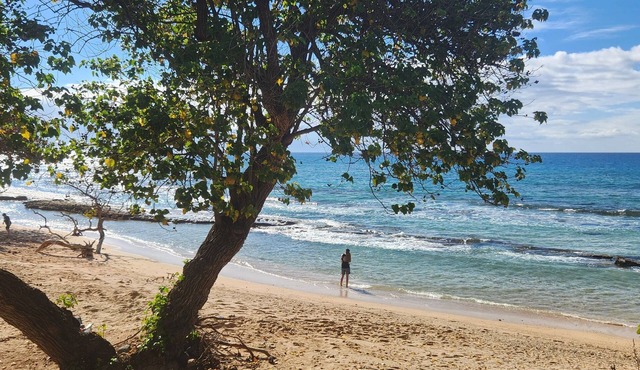 Awesome Ground Floor! Easy Beach access and Just Steps to Ocean #103