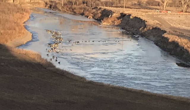 Awesome Guesthouse on the Sun River