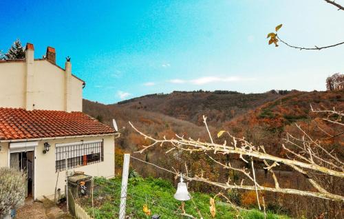 Awesome Home In Mazamet With Wifi