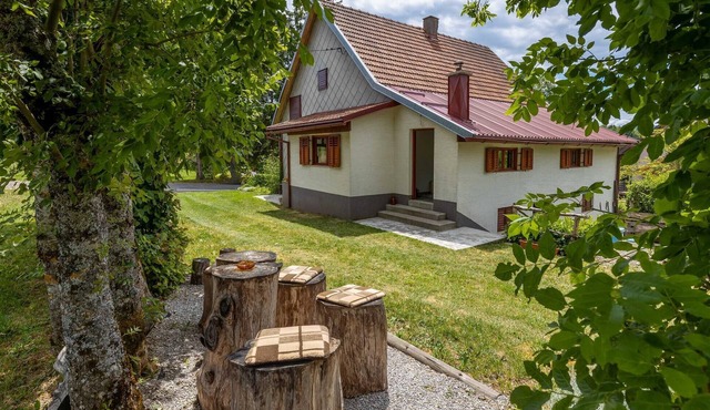 Awesome home in Ravna Gora