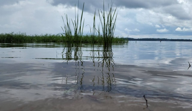 Awesome lake property