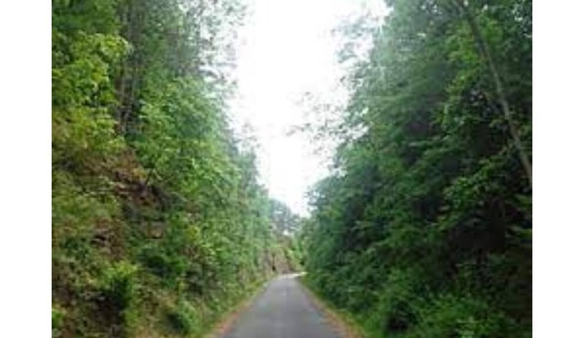 Awesome Studio-"Whole tiny house" w/yard, parking.