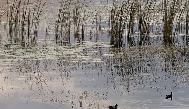 Awesome Townhome Beautiful Lake! Clean! Near EPIC Universal Disney Convention