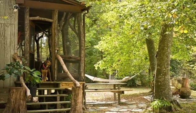 Aylett River Paradise: A whimsical gem designed to harmonize with nature.