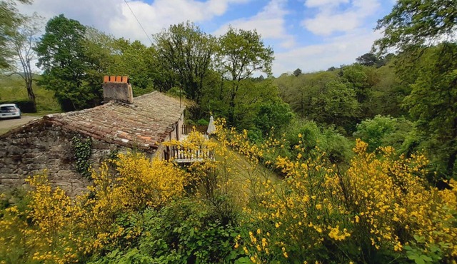 Aymes - VAOUR - Gîte