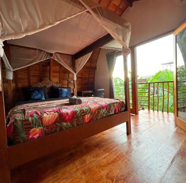 Ayolah surf House & Surfcamp medewi