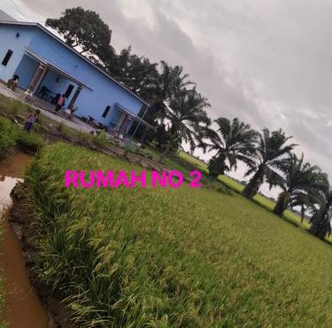 Aziyaa homestay rumah no2