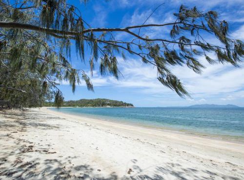 Azure on Geoffrey Bay