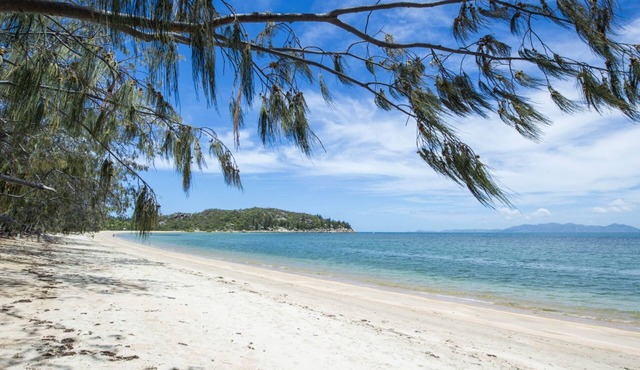 Azure on Geoffrey Bay