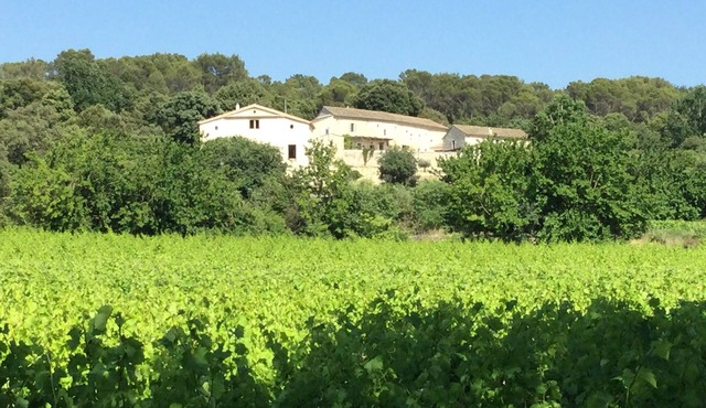 Bâtisse au Sein d un mas Provençal vue Imprenable