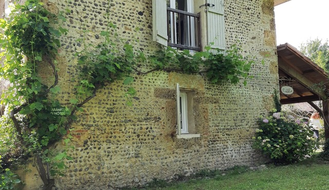Bâtisse en Pierre de l' Adour du Xvii, à la Campagne, Avec Bain Nordique