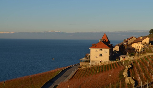 B&B Burignon
