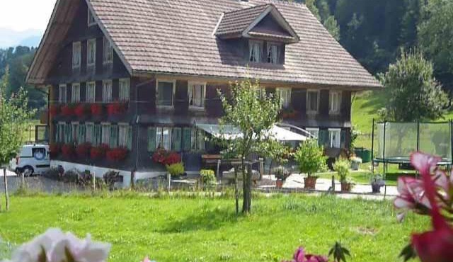 B&B Hofstetter