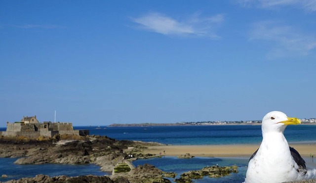 B&B HOTEL Saint-Malo Sud