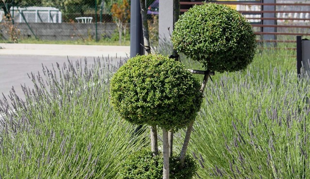 B&B HOTEL VALENCE TGV-Romans