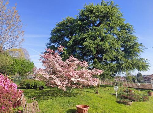 B&B Il Melograno
