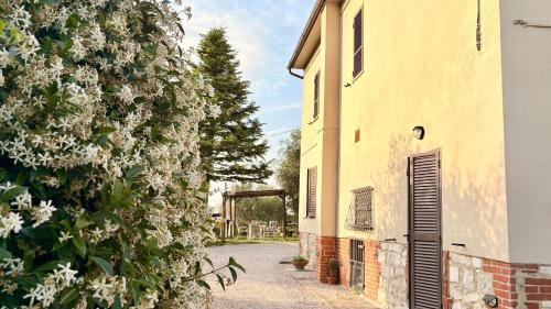 B&B Il Pozzo in Sinalunga
