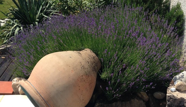 B&B Insolite entre Lyon et Aéroport