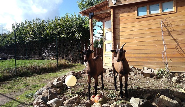 B&B Les Maîtres Sonneurs