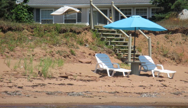 B.E.A.C.H. Best Escape Anyone Can Have