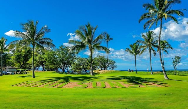 B103 Guest Favorite APR-DEC SPECIALS, AC, Remodeled Kihei Oceanfront property