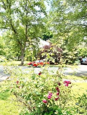 B4 A private room in Naperville downtown with desk and Wi-Fi near everything
