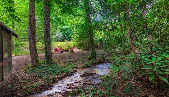 Babbling Brook - 10 Minutes from Downtown Blue Ridge